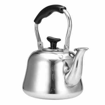 Damsouq Fluitketel RVS 2L