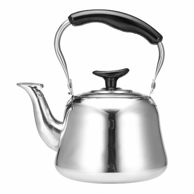 Damsouq Fluitketel RVS 4L